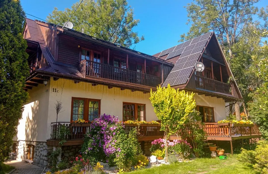 Wynajem Pokoi Gościnnych-1